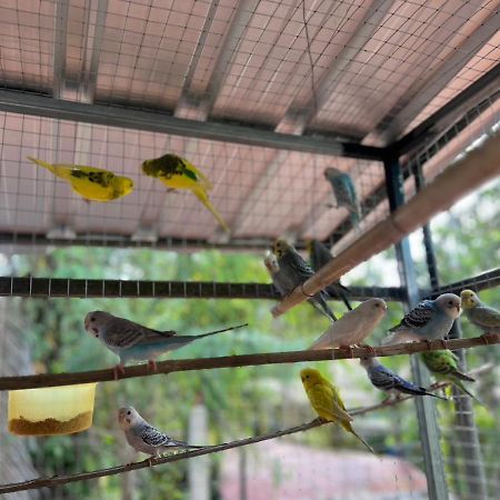 Banana Place Resort Chumphon Buitenkant foto